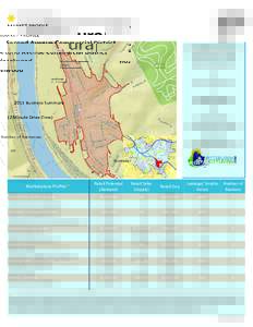 MARKET PROFILE  Second Avenue Commercial District Hazelwood 2015 Business Summary (2 Minute Drive Time)