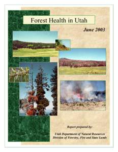 dfdmtree.tif  Forest Health in Utah Pjfire2.tif