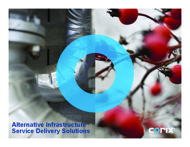 Alternative Infrastructure Service Delivery Solutions The Business  We provide utility infrastructure products, services and