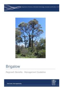 Brigalow Regrowth Benefits - Management Guideline