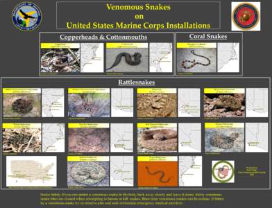 Venomous Snakes on United States Marine Corps Installations Coral Snakes  Copperheads & Cottonmouths