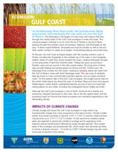 Ecoregion:  Gulf Coast As the Mississippi River flows south, the land becomes flatter and warmer until eventually the river spills out into the Gulf of Mexico. The Mississippi is the largest of many rivers and streams th