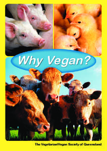 Why Vegan?  The Vegetarian/Vegan Society of Queensland