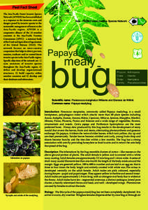 Pest Fact Sheet The Asia-Pacific Forest Invasive Species Network (APFISN) has been established as a response to the immense costs and dangers posed by invasive species to the sustainable management of forests in the