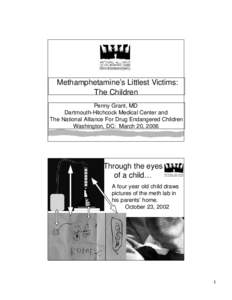 Methamphetamine’s Littlest Victims: The Children Penny Grant, MD Dartmouth-Hitchcock Medical Center and The National Alliance For Drug Endangered Children Washington, DC: March 20, 2006