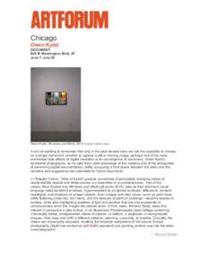 Chicago Owen Kydd DOCUMENT 845 W Washington Blvd, 3F June 7–July 20