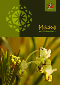 Annual Report[removed]Wildlife Foundation