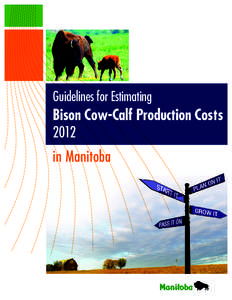 Land management / Calf / Bull / Bison / Cow-calf operation / Dairy cattle / American bison / Cattle / Zoology / Agriculture