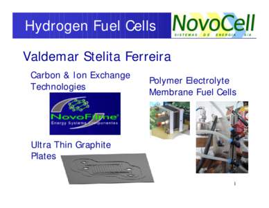 Hydrogen Fuel Cells Valdemar Stelita Ferreira Carbon & Ion Exchange Technologies  Polymer Electrolyte