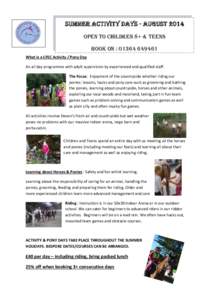 SUMMER ACTIVITY DAYS - AUGUST 2014 OPEN TO CHILDREN 8+ & TEENS Book on : What is a CFEC Activity / Pony Day An all day programme with adult supervision by experienced and qualified staff. The Focus: Enjoymen