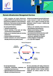 Remote Infrastructure Management Services