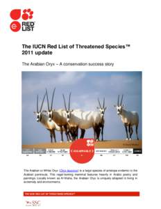 The IUCN Red List of Threatened Species™ 2011 update The Arabian Oryx – A conservation success story © David Mallon