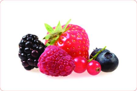 SUMMER FRUITS ARE SWEET AND JUICY  Ideas for Conversation Activities to Try