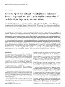 16938 • The Journal of Neuroscience, December 15, 2010 • 30(50):16938 –[removed]Cellular/Molecular Neuronal Apoptosis Induced by Endoplasmic Reticulum Stress Is Regulated by ATF4 –CHOP-Mediated Induction of