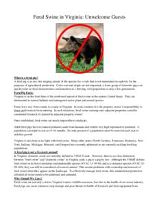 Feral Swine in Virginia: Unwelcome Guests  What is a feral pig? A feral pig is as any free-ranging animal of the species Sus scrofa that is not maintained in captivity for the purposes of agricultural production. Color c
