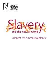 and the natural world  Chapter 3: Commercial plants Chapter 3: Commercial plants