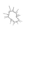 INFORMATIONAL ASPECTS OF VISUAL PERCEPTION  Fie. 2. Subjects attempted to approximate the dosed figure shown above with a pattern of 10 dots. Radiating bars indicate the relative frequency with which various portions of 