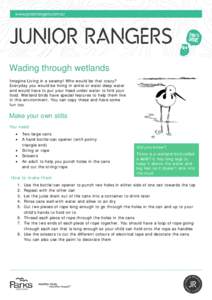 Wading through wetlands Imagine Living in a swamp! Who would be that crazy? Everyday you would be living in ankle or waist deep water and would have to put your head under water to find your food. Wetland birds have spec