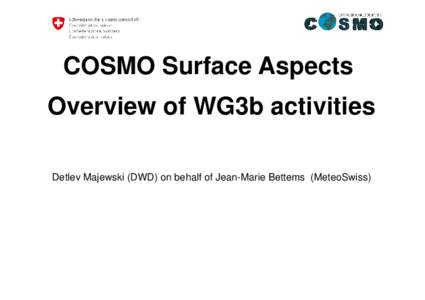 COSMO Surface Aspects Overview of WG3b activities Detlev Majewski (DWD) on behalf of Jean-Marie Bettems (MeteoSwiss) TERRA and external parameters at DWD