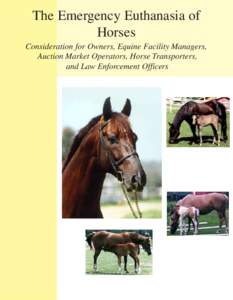 The Emergency Euthanasia of Horses Consideration for Owners, Equine Facility Managers, Auction Market Operators, Horse Transporters, and Law Enforcement Officers