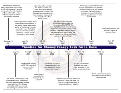 President Bush establishes the National Energy Policy Group (or NEPDG) to develop a national energy policy. The Vice President is directed to lead the group and other high-level officials