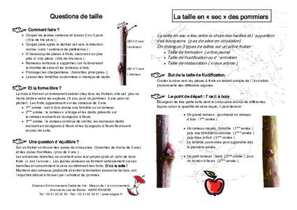 Questions de taille Comment faire ? • Couper les jeunes rameaux et laisser 2 ou 3 yeux ( r ôle de tire sève ) ; • Couper juste après le dernier œil vers la direction voulue (vers l ’extérieur de préférence )