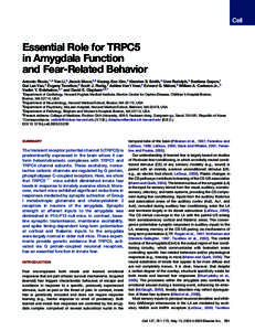 Essential Role for TRPC5 in Amygdala Function and Fear-Related Behavior