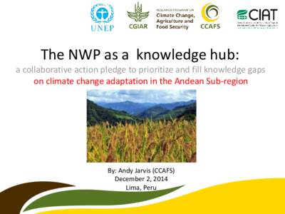 The NWP as a knowledge hub: a collaborative action pledge to prioritize and fill knowledge gaps on climate change adaptation in the Andean Sub-region By: Andy Jarvis (CCAFS) December 2, 2014