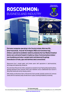 Roscommon:  Roscommon County Council  Business and Industry