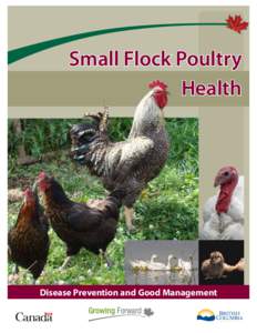 Small Flock Poultry Health Disease Prevention and Good Management  Small Flock Poultry Health