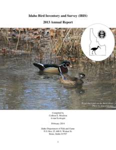 Idaho Bird Inventory and Survey (IBIS[removed]Annual Report Wood duck pair on the Boise River Photo by Ken Coleman Compiled by