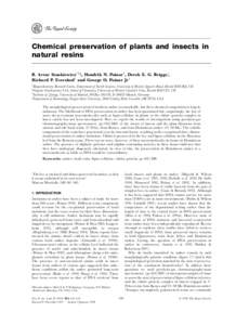 Chemical preservation of plants and insects in natural resins B. Artur Stankiewicz1,2{, Hendrik N. Poinar3, Derek E. G. Briggs1, Richard P. Evershed2 and George O. Poinar Jr4 1