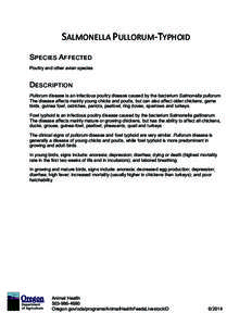 SALMONELLA	
  PULLORUM-­‐TYPHOID	
   SPECIES AFFECTED Poultry and other avian species DESCRIPTION Pullorum disease is an infectious poultry disease caused by the bacterium Salmonella pullorum.