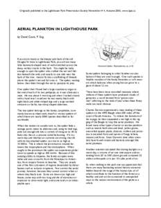 Nephilidae / Spider anatomy / Arachnids / Aeroplankton / Spider silk / Spider / Ballooning / Golden silk orb-weaver / Nephila pilipes / Phyla / Protostome / Spiders