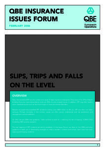 QBE INSURANCE ISSUES FORUM FEBRUARY 2006 SLIPS, TRIPS AND FALLS ON THE LEVEL