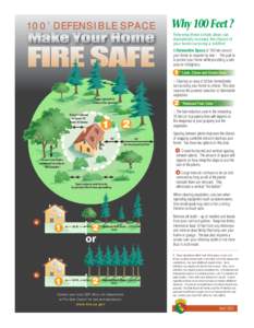 100’ DEFENSIBLE SPACE  Why 100 Feet ? Following these simple steps can dramatically increase the chance of your home surviving a wildfire!