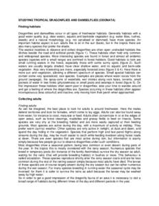 STUDYING TROPICAL DRAGONFLIES AND DAMSELFLIES (ODONATA) Finding habitats Dragonflies and damselflies occur in all types of freshwater habitats. Generally habitats with a good water quality (e.g. clear water), aquatic and