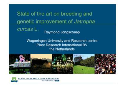 WUR-PRI_Jatropha_curcas_Brussels_EU_Expert_meeting_2007[removed]ppt