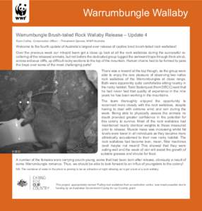 Warrumbungle Wallaby Warrumbungle Brush-tailed Rock Wallaby Release – Update 4 Ryan Collins, Conservation Officer – Threatened Species, WWF-Australia Welcome to the fourth update of Australia’s largest ever release