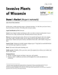 v. May 12, 2010  Invasive Plants of Wisconsin Dame’s Rocket (Hesperis matronalis) Authors: Brendon Panke and Mark Renz1