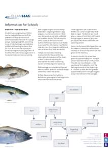 Information for Schools Production – How do we do it? Kingfish was recognised as a finfish species (native to Spencer Gulf) for potential of lifecycle closure and commercialisation because it is a large