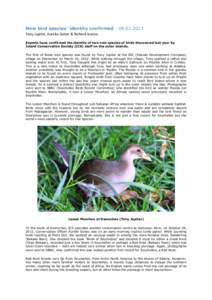 New bird species’ identity confirmed[removed]Tony Jupiter, Aurélie Duhec & Richard Jeanne Experts have confirmed the identity of two new species of birds discovered last year by Island Conservation Society (ICS) 