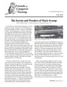 www.friendsofcongaree.org  Fall 2005 The Secrets and Wonders of Muck Swamp David C. Shelley and Dr. Art Cohen, Department of Geological Sciences, USC