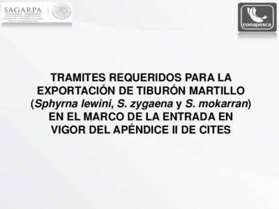 TRAMITES REQUERIDOS PARA LA EXPORTACIÓN DE TIBURÓN MARTILLO (Sphyrna lewini, S. zygaena y S. mokarran) EN EL MARCO DE LA ENTRADA EN VIGOR DEL APÉNDICE II DE CITES