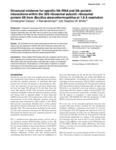 Protein biosynthesis / Proteins / Molecular biology / Ribosomal protein / 50S / Ribosome / Ribosomal RNA / Translation / LSm / Biology / RNA / Genetics