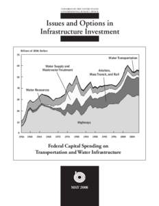 Issues and Options in Infrastructure Investment