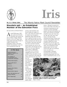 Iris The Alberta Native Plant Council Newsletter No. 51 • Winter[removed]Mountain-ash – An Established