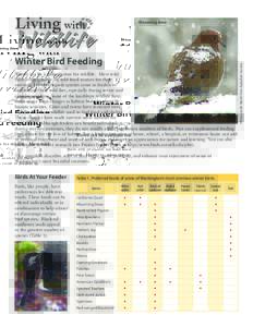 Winter Bird Feeding Winter can be a difficult time for wildlife. Most wild birds rely primarily on wild food sources for their survival. However, many species come to feeders to supplement their wild diet, especially dur