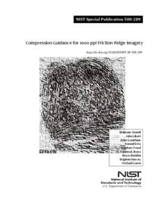 Compression Guidance for 1000 ppi Friction Ridge Imagery