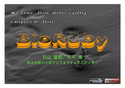 BioRuby 片山 俊明, 五斗 進 京大化研バイオインフォマティクスセンター BioRuby プロジェクトとは • 国産の優れたオブジェクト指向スクリプト言語 Ruby を使って、